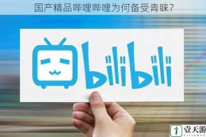 国产精品哔哩哔哩为何备受青睐？