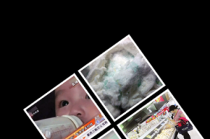 国精产品成品人人入口网址为何如此难找？有什么方法可以找到它？怎样才能进入国精产品成品人人入口网址？