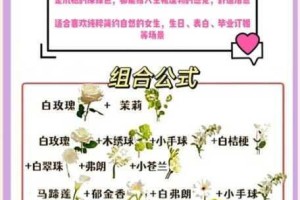 花店物语全花束配方图鉴与动物伙伴搭配指南：解锁花艺奥秘与角色互动秘诀