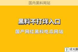 国内黑料网站