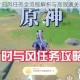 原神落叶归风任务全流程解析与高效通关技巧分享