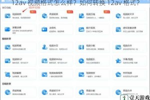 12av 视频格式怎么样？如何转换 12av 格式？