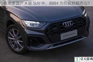 在众多国产 A 级 SUV 中，8884 为何能脱颖而出？