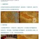魔兽世界库尔提拉斯之傲任务全流程指南与高效完成技巧解析