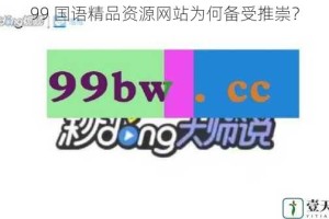 99 国语精品资源网站为何备受推崇？