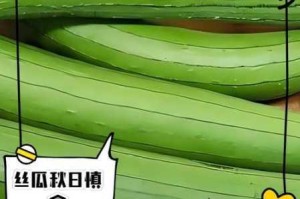 为什么找不到草莓视频丝瓜在线观看丝瓜 18？如何解决？