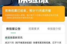 详细介绍和平精英体验服的下载方法及注意事项