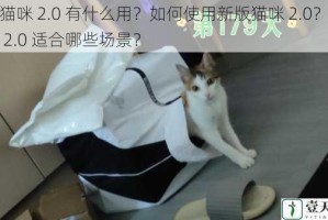 新版猫咪 2.0 有什么用？如何使用新版猫咪 2.0？新版猫咪 2.0 适合哪些场景？