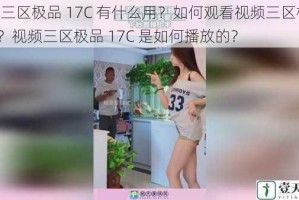 视频三区极品 17C 有什么用？如何观看视频三区极品 17C？视频三区极品 17C 是如何播放的？