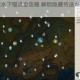 原神须弥水下锚点全攻略 解锁隐藏传送点与探索技巧解析