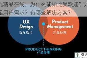 九九精品在线，为什么能如此受欢迎？如何满足用户需求？有哪些解决方案？