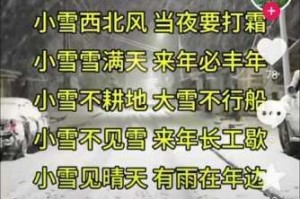 为什么的小雪会成为网络热词？