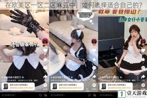 在欧美区一区二区麻豆中，如何选择适合自己的？