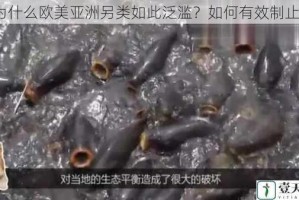 为什么欧美亚洲另类如此泛滥？如何有效制止？