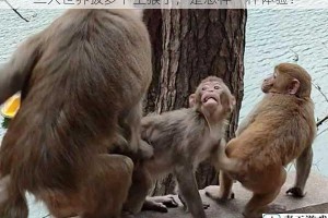 二人世界拔萝卜生猴子，是怎样一种体验？