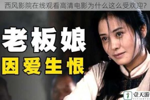 西风影院在线观看高清电影为什么这么受欢迎？