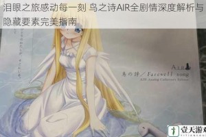 泪眼之旅感动每一刻 鸟之诗AIR全剧情深度解析与隐藏要素完美指南