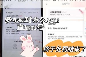 成人 A 片网站为什么会被封锁？有什么方法可以观看？