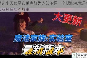 探究小天狼星布莱克鲜为人知的另一个昵称究竟是什么及其背后的故事