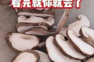蘑菇成品视频 3 秒进入：为什么不能？如何实现？怎样做到？