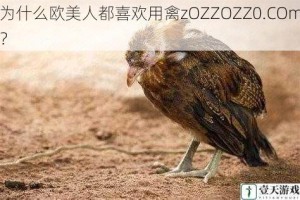 为什么欧美人都喜欢用禽zOZZOZZ0.COm？