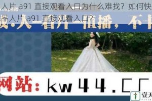 成品人片 a91 直接观看入口为什么难找？如何快速找到成品人片 a91 直接观看入口？