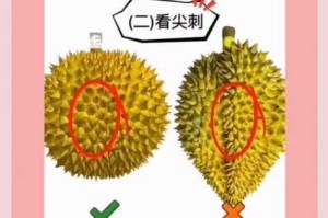 榴莲 app 导入入口在哪？如何找到榴莲 app 导入入口？怎样进入榴莲 app 导入入口？