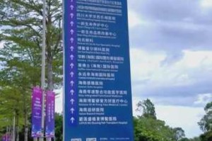 日韩 1 区为何如此吸引人？探索其背后的原因