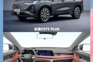 为什么国产 SUV 精品一区二区 6 如此受欢迎？