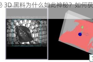 91 国产秘 3D 黑料为什么如此神秘？如何获取？有何风险？