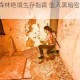求生之路2森林绝境生存指南 坠入黑暗密林通关技巧与路线解析