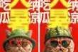 吃瓜免费网站推荐【吃瓜免费网站推荐大全】
