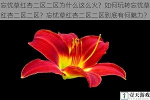 忘忧草红杏二区二区为什么这么火？如何玩转忘忧草红杏二区二区？忘忧草红杏二区二区到底有何魅力？