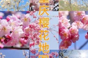为什么找不到樱花视频一区？如何找到樱花视频一区？怎样找到樱花视频一区？