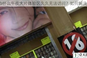 为什么午夜大片体验区久久无法访问？如何解决？