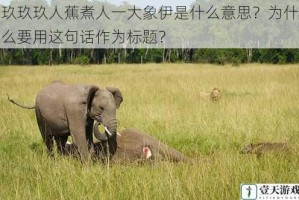 玖玖玖人蕉煮人一大象伊是什么意思？为什么要用这句话作为标题？