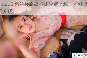 Fulao2 粉色标路线检测免费下载：为何-怎样实现？