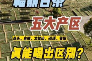 中文字幕一二三产区有何区别？如何区分一二三产区的中文字幕？