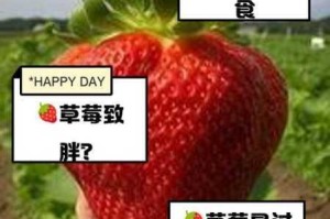为什么草莓视频黄版不能看？如何解决？