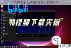 免费看 b 站视频的方法有哪些？