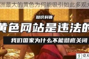 亚洲最大的黄色为何能吸引如此多观众？