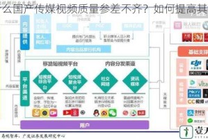 为什么国产传媒视频质量参差不齐？如何提高其质量？
