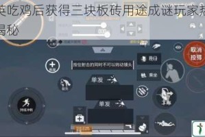和平精英吃鸡后获得三块板砖用途成谜玩家热议隐藏功能大揭秘