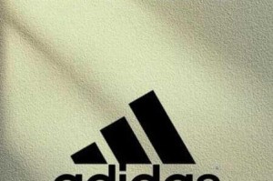 日本高清 adidas 网站为何备受关注？有哪些独特之处？