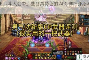 DNF 武斗大会中那些各具特色的 APC 详细介绍与分析