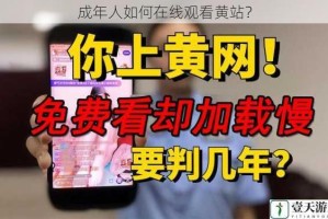 成年人如何在线观看黄站？