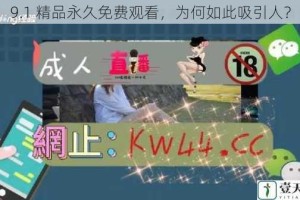 9.1 精品永久免费观看，为何如此吸引人？