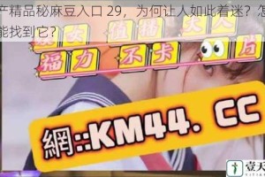 国产精品秘麻豆入口 29，为何让人如此着迷？怎样才能找到它？