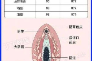 男 J 入女 P 会对女性造成伤害吗？应该如何保护女性？