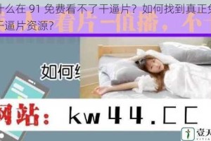 为什么在 91 免费看不了干逼片？如何找到真正免费的干逼片资源？